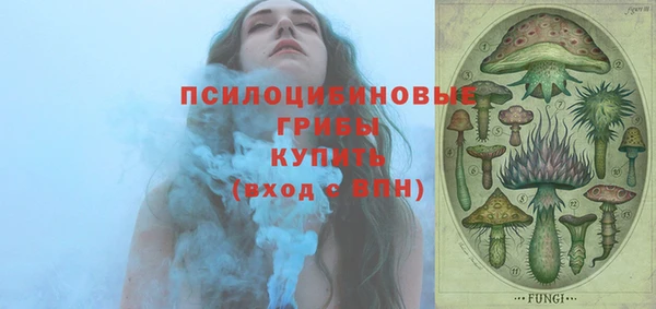 сатива Кукмор